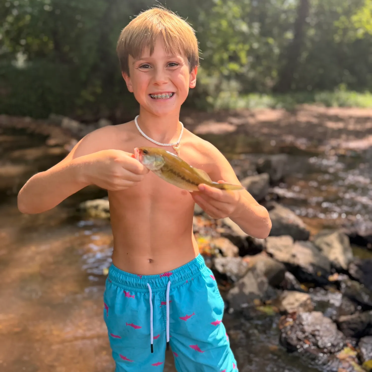 Smallmouth bass caught on Fishbrain