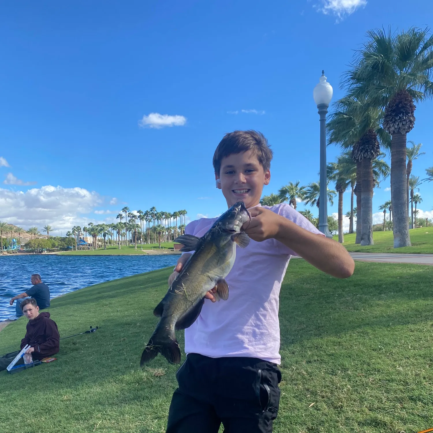 Channel catfish caught on Fishbrain