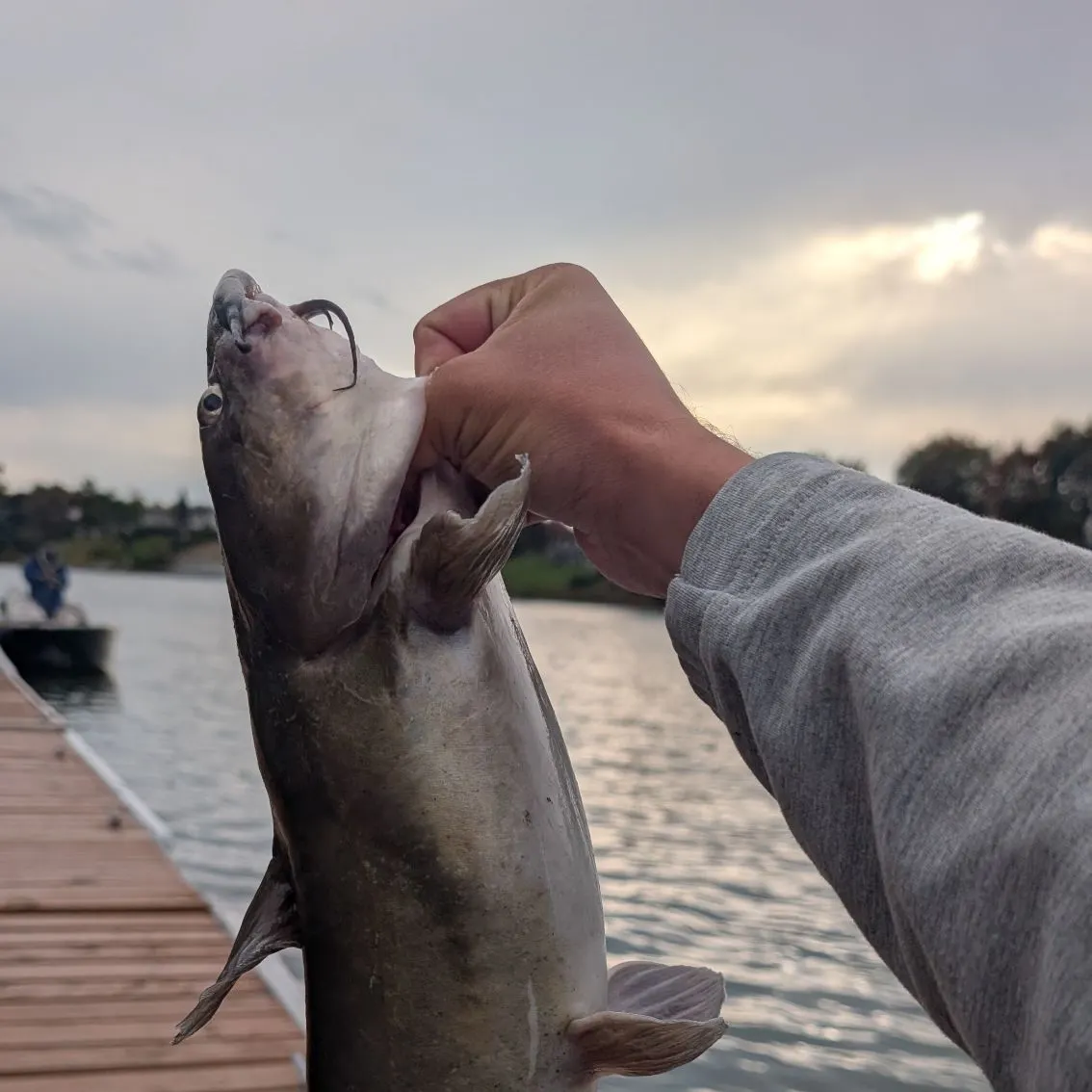 catch