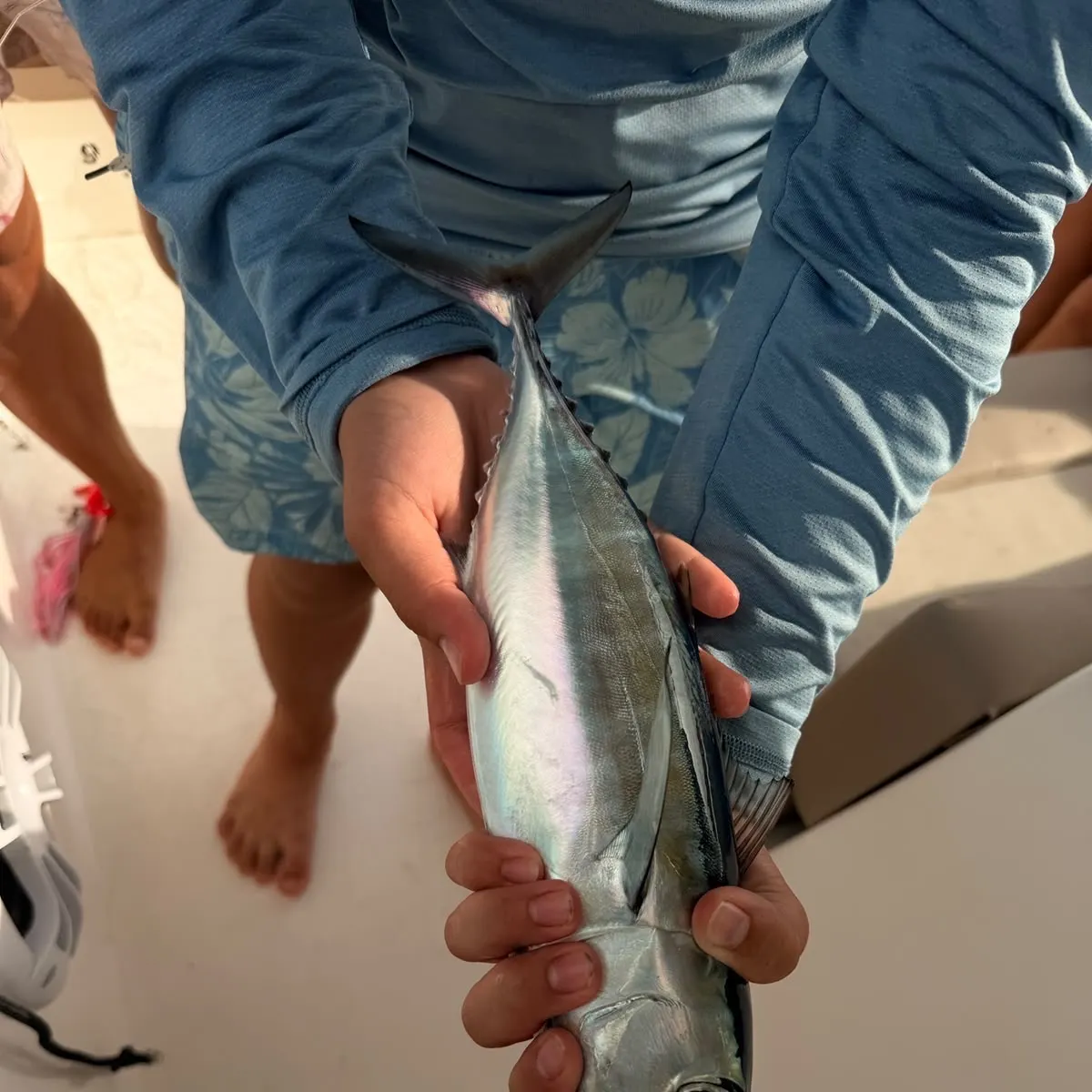 Yellowfin tuna caught on Fishbrain