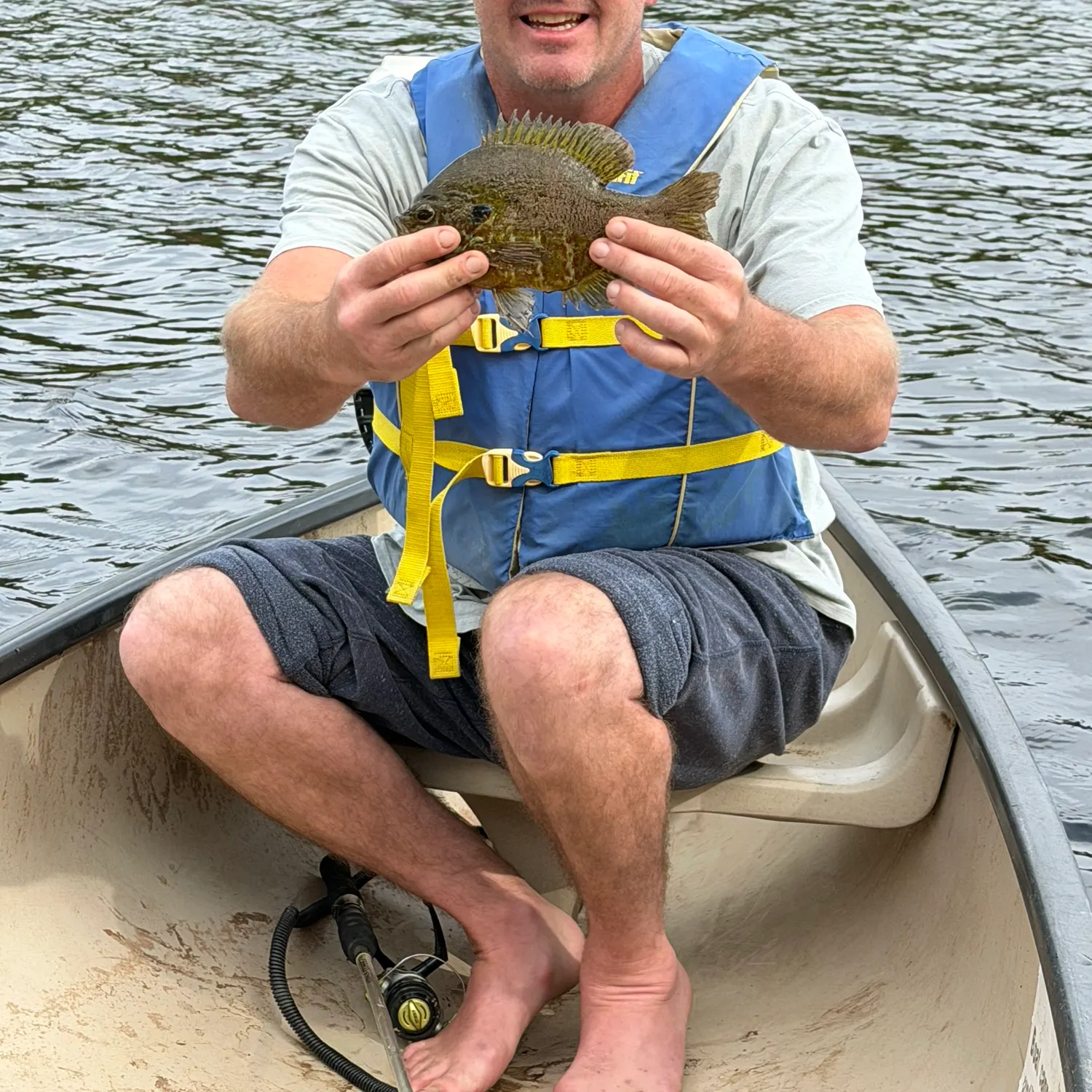 Fish caught on Fishbrain