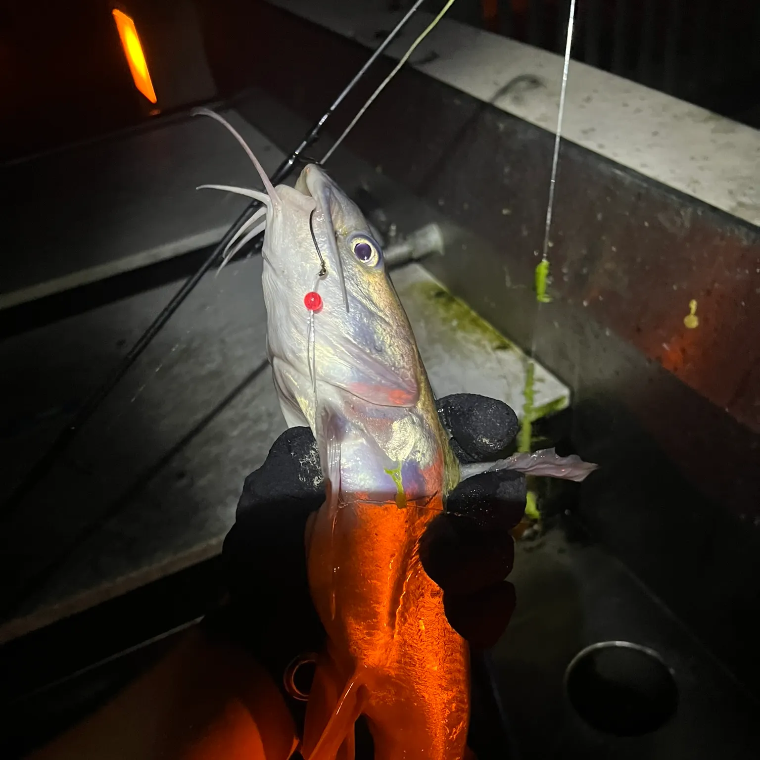 catch