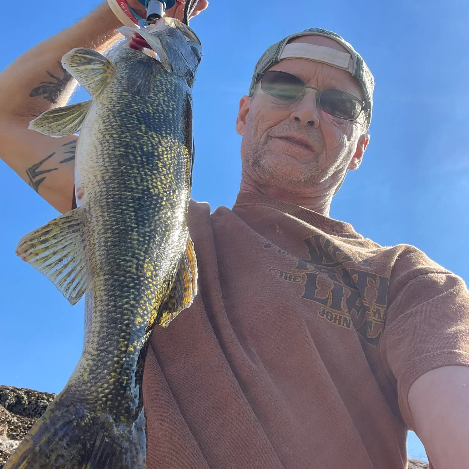 Sauger caught on Fishbrain