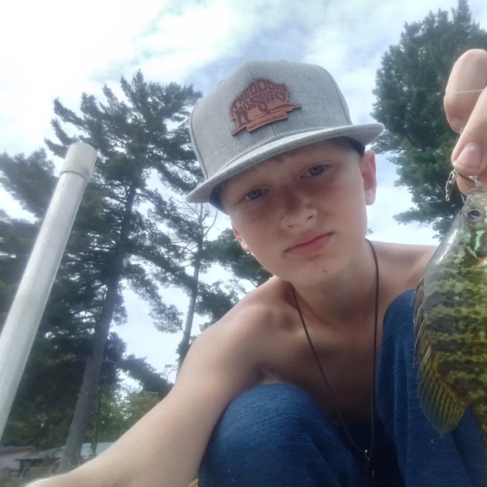 Pumpkinseed caught on Fishbrain