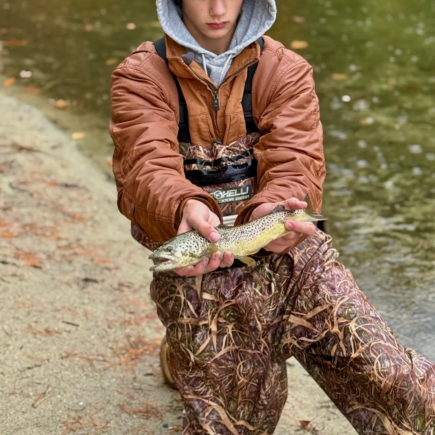 Brown trout caught on Fishbrain