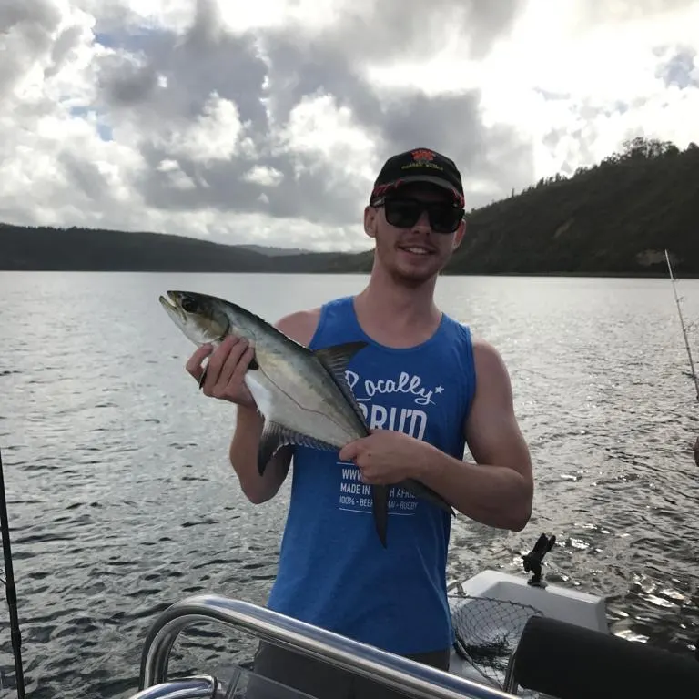 The most recent Leerfish catches on Fishbrain
