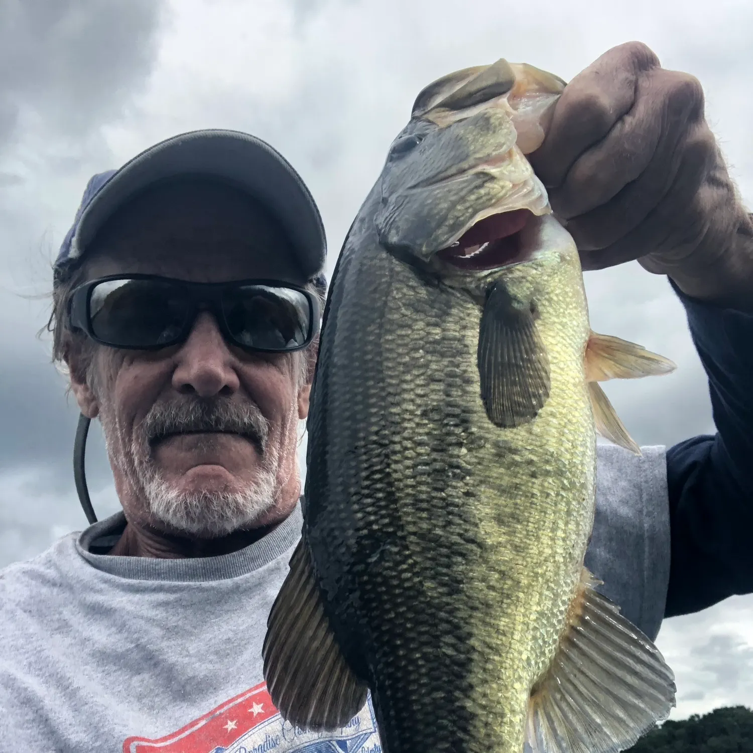 Largemouth bass caught on Fishbrain