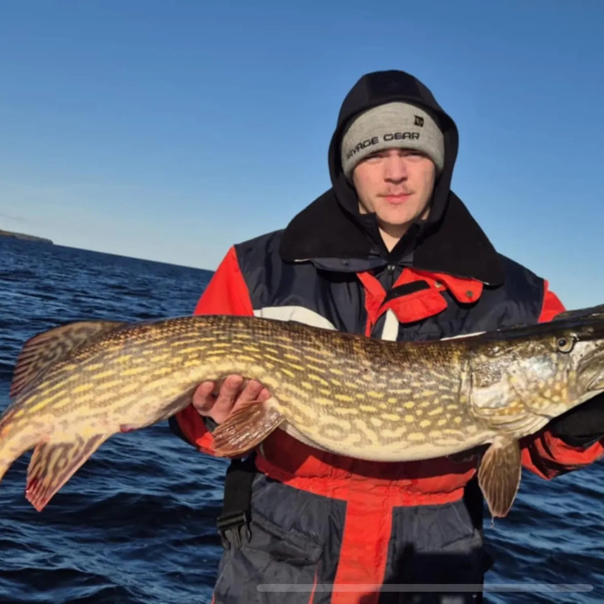 The most recent Northern pike catches on Fishbrain