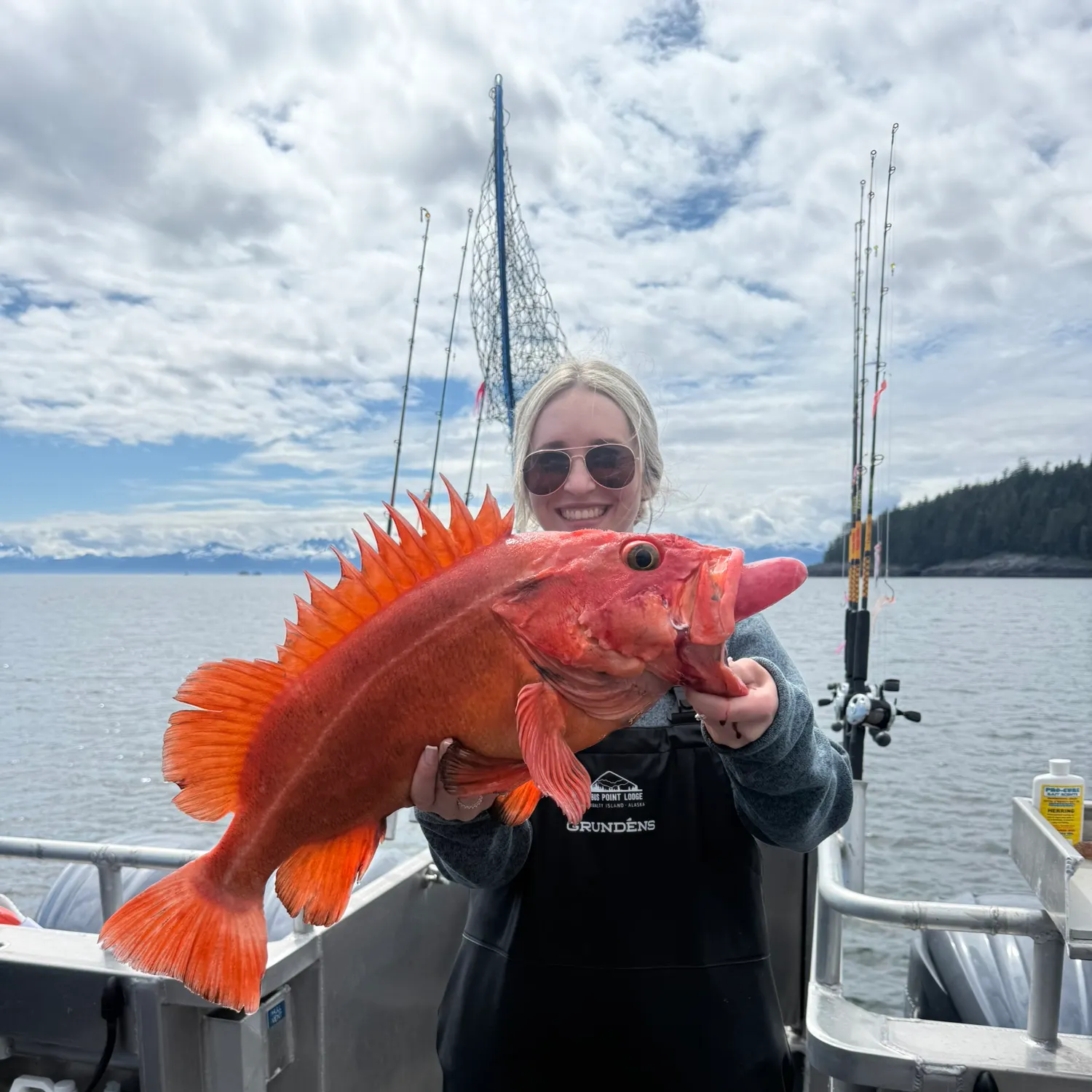 The most recent Yelloweye rockfish catches on Fishbrain