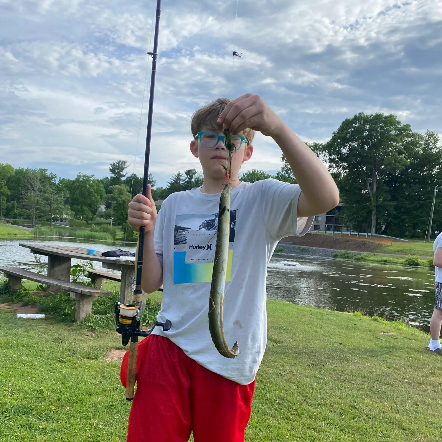 The most recent American eel catches on Fishbrain