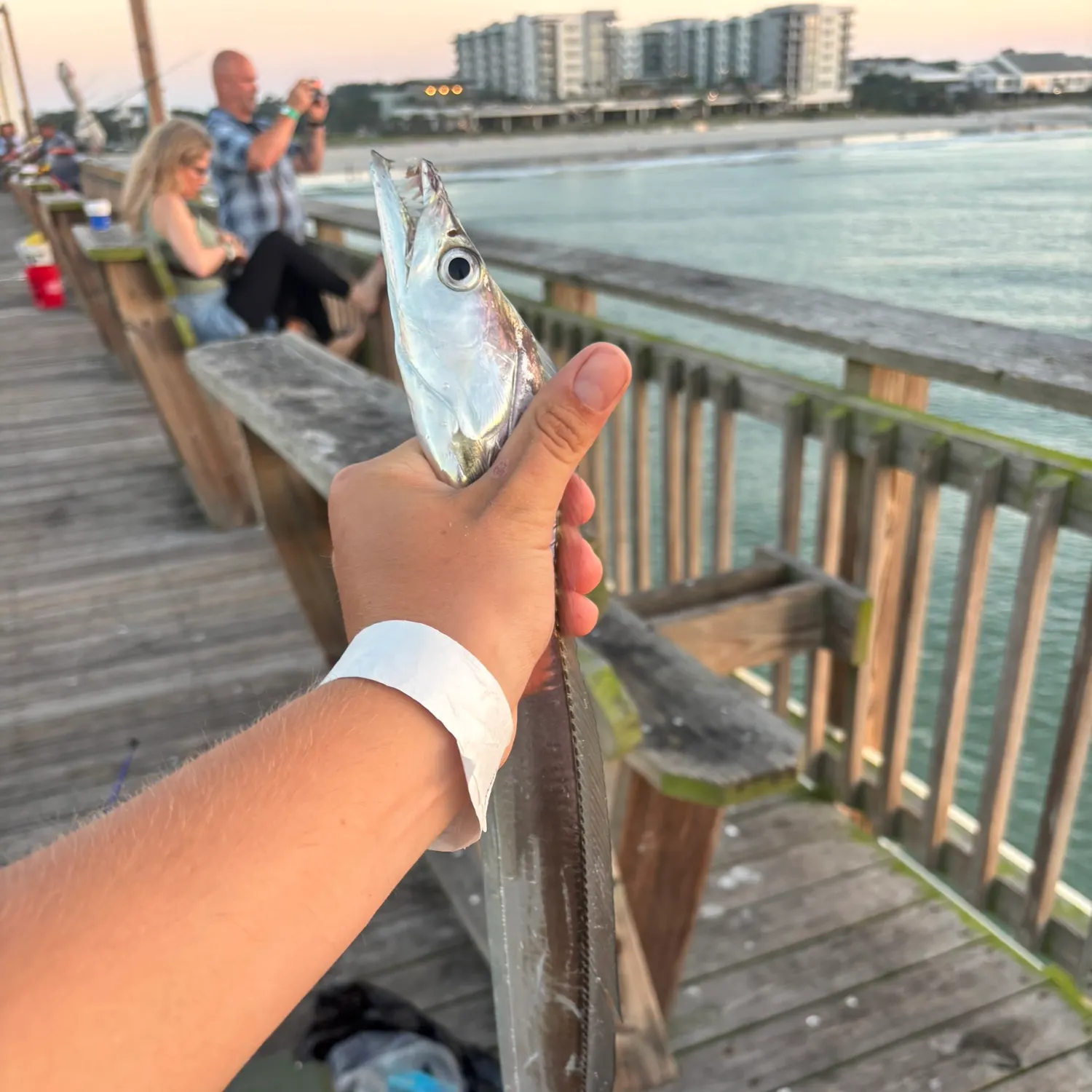 Atlantic cutlassfish caught on Fishbrain