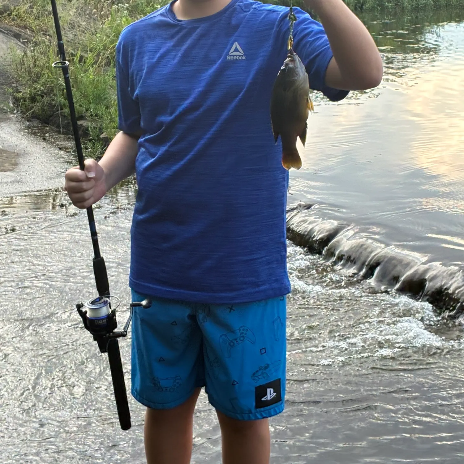 Green sunfish caught on Fishbrain