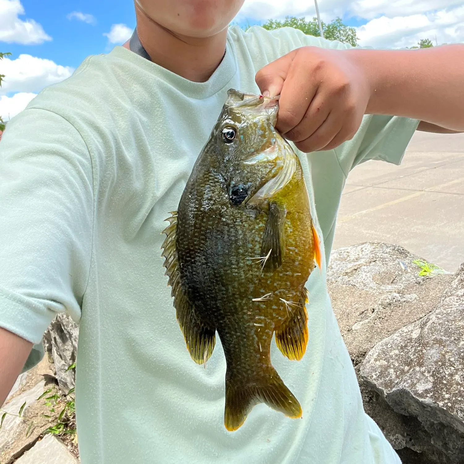 catch