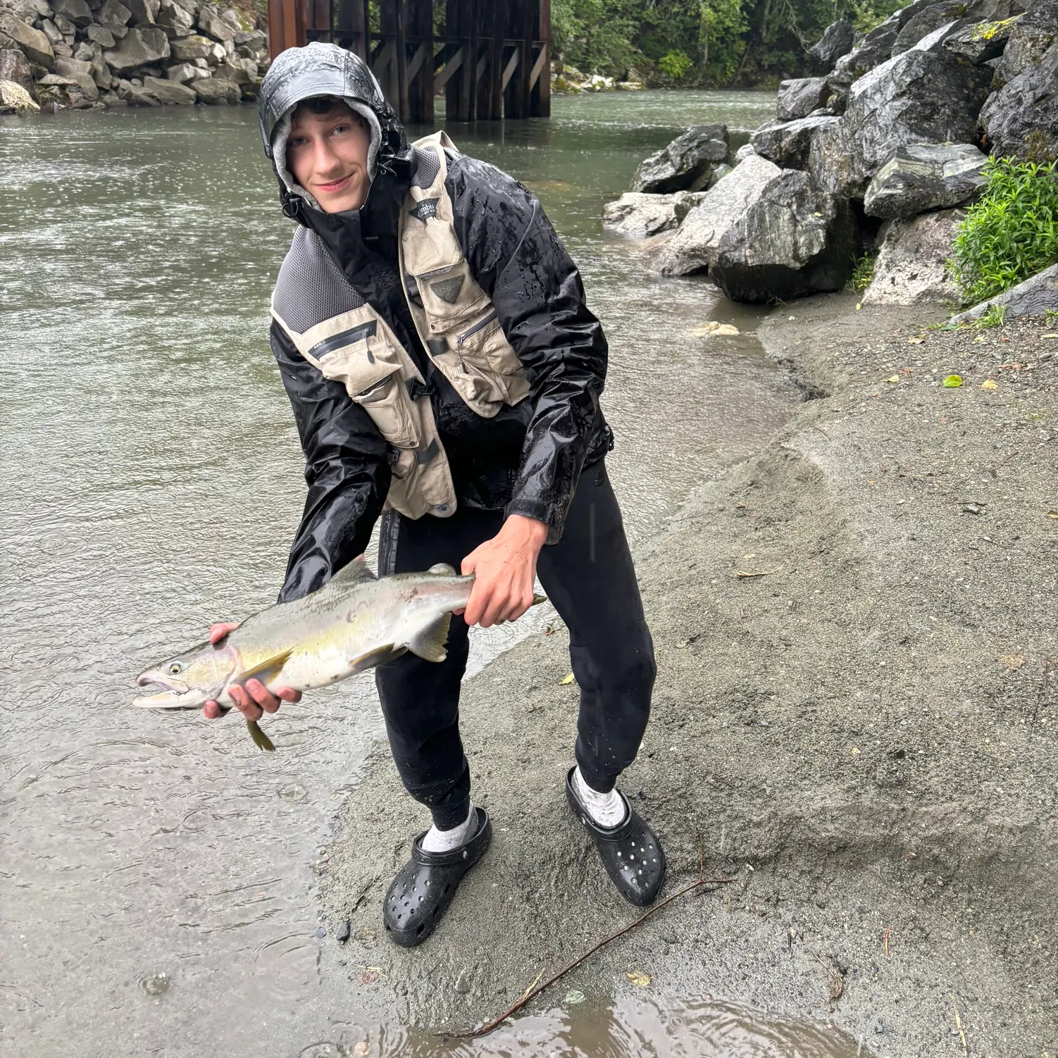 Pink salmon caught on Fishbrain