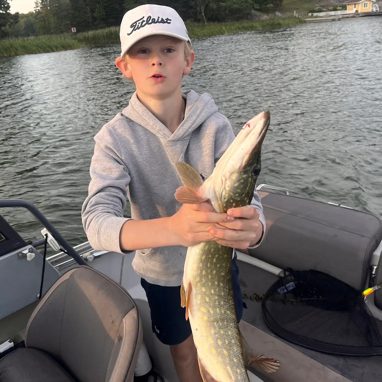 Northern pike caught on Fishbrain