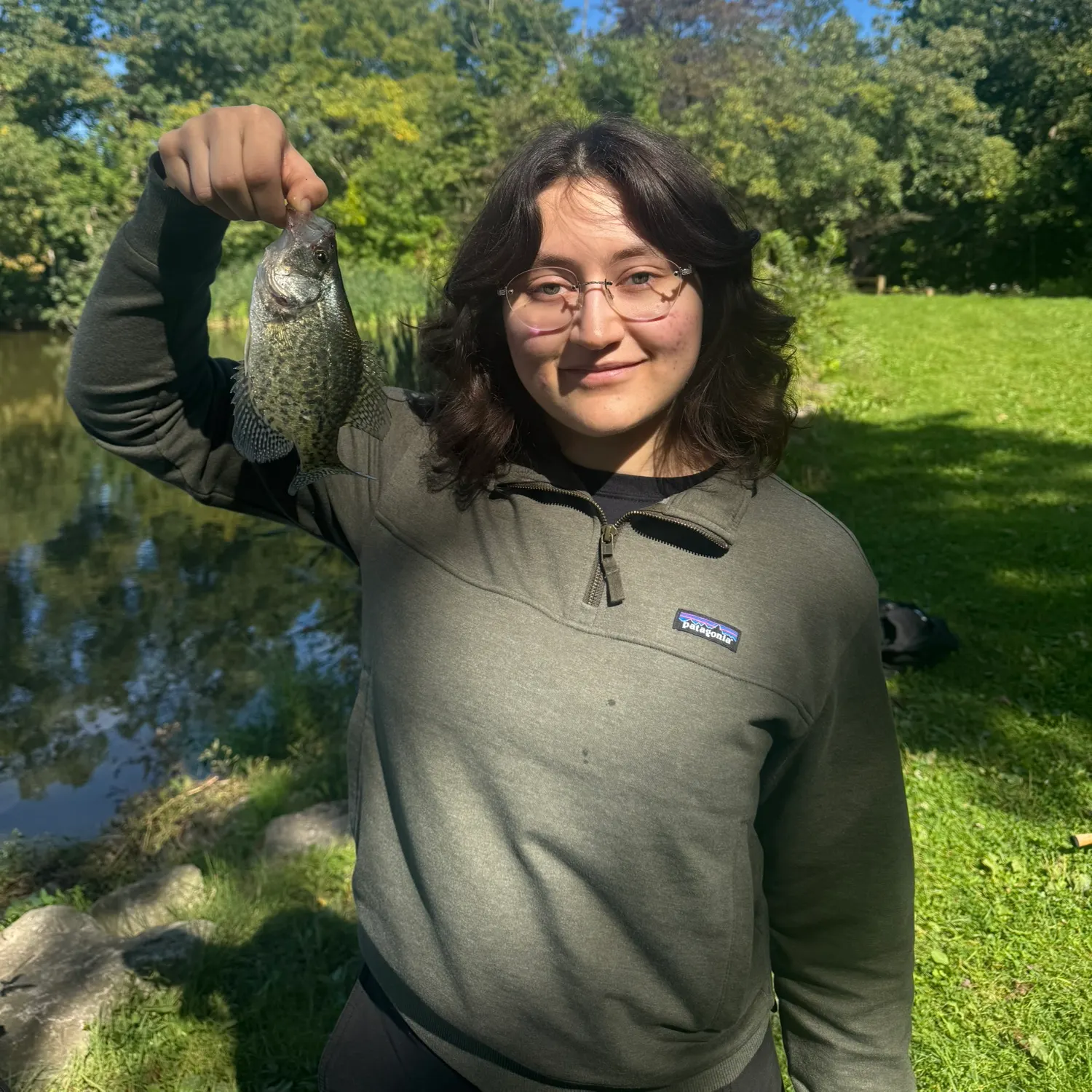 Black crappie caught on Fishbrain