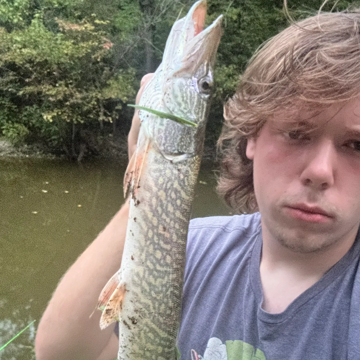 Muskie caught on Fishbrain