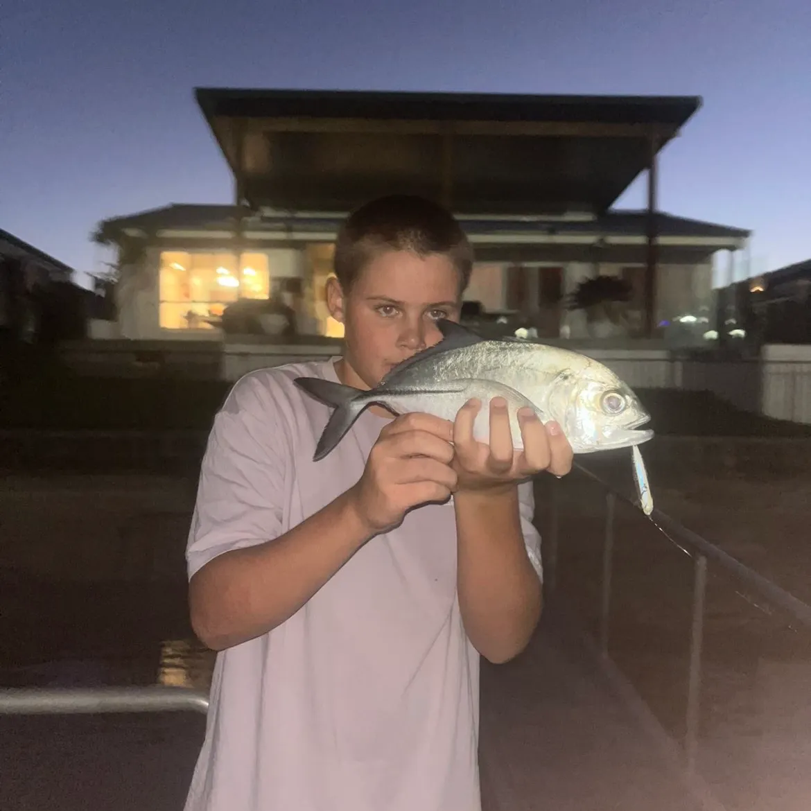 The most recent Bigeye trevally catches on Fishbrain