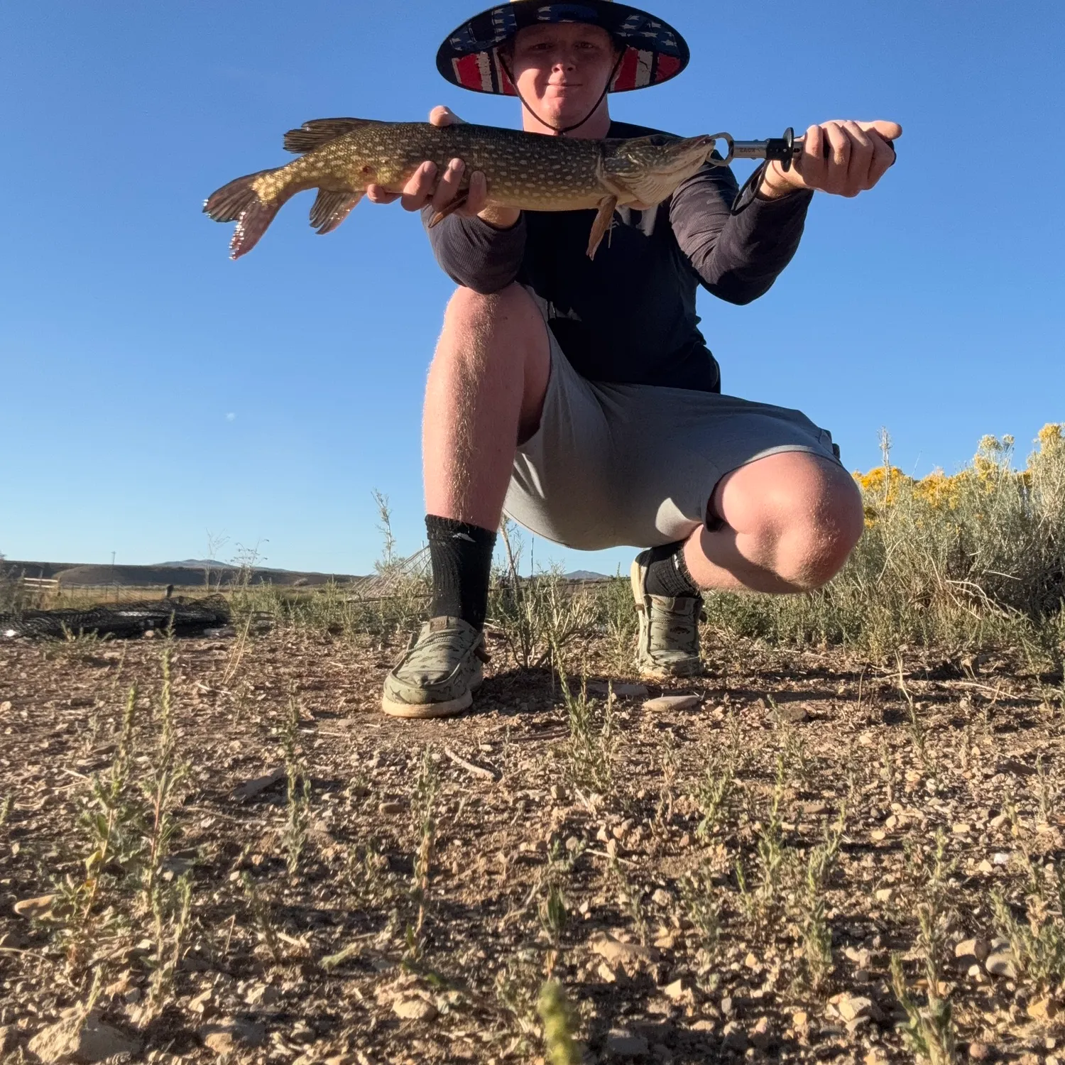 Northern pike caught on Fishbrain