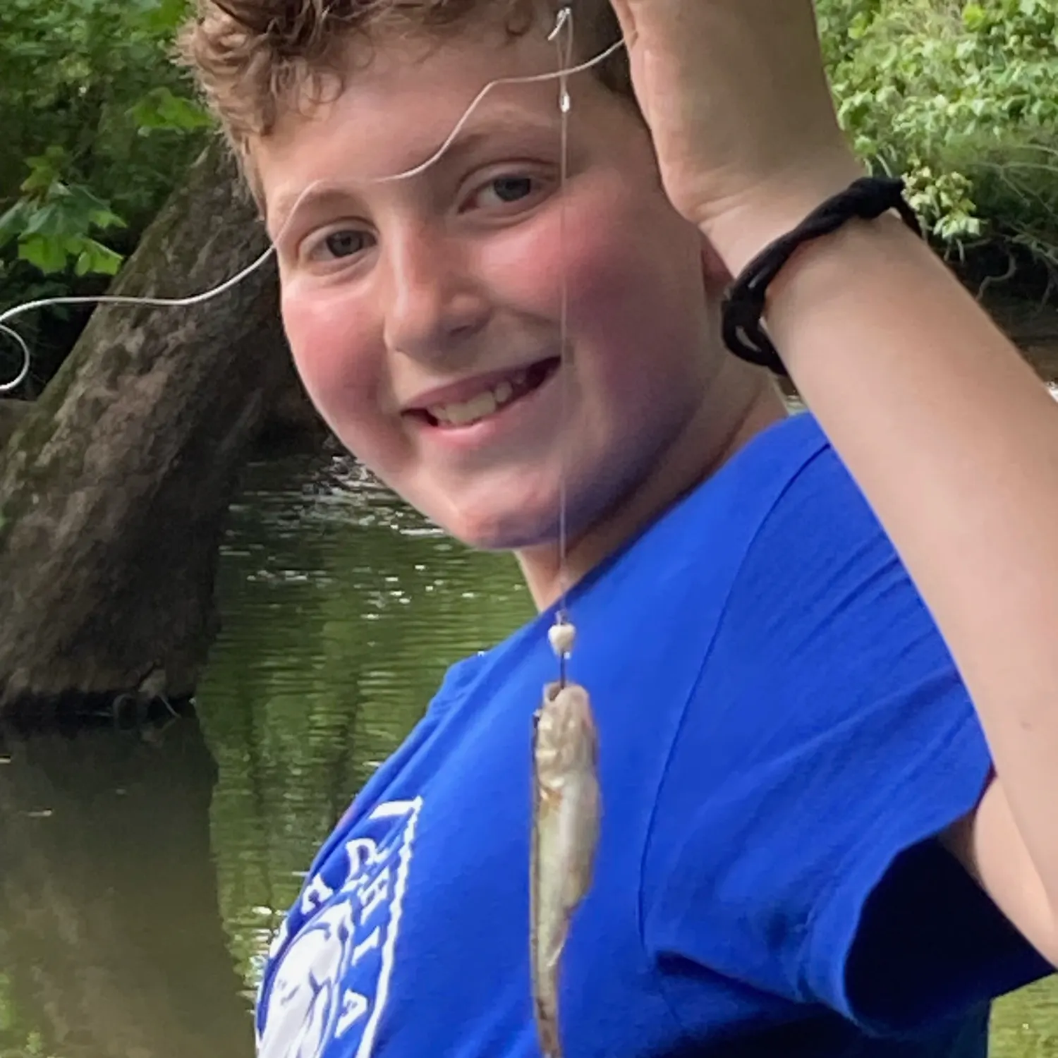 Hornyhead chub caught on Fishbrain