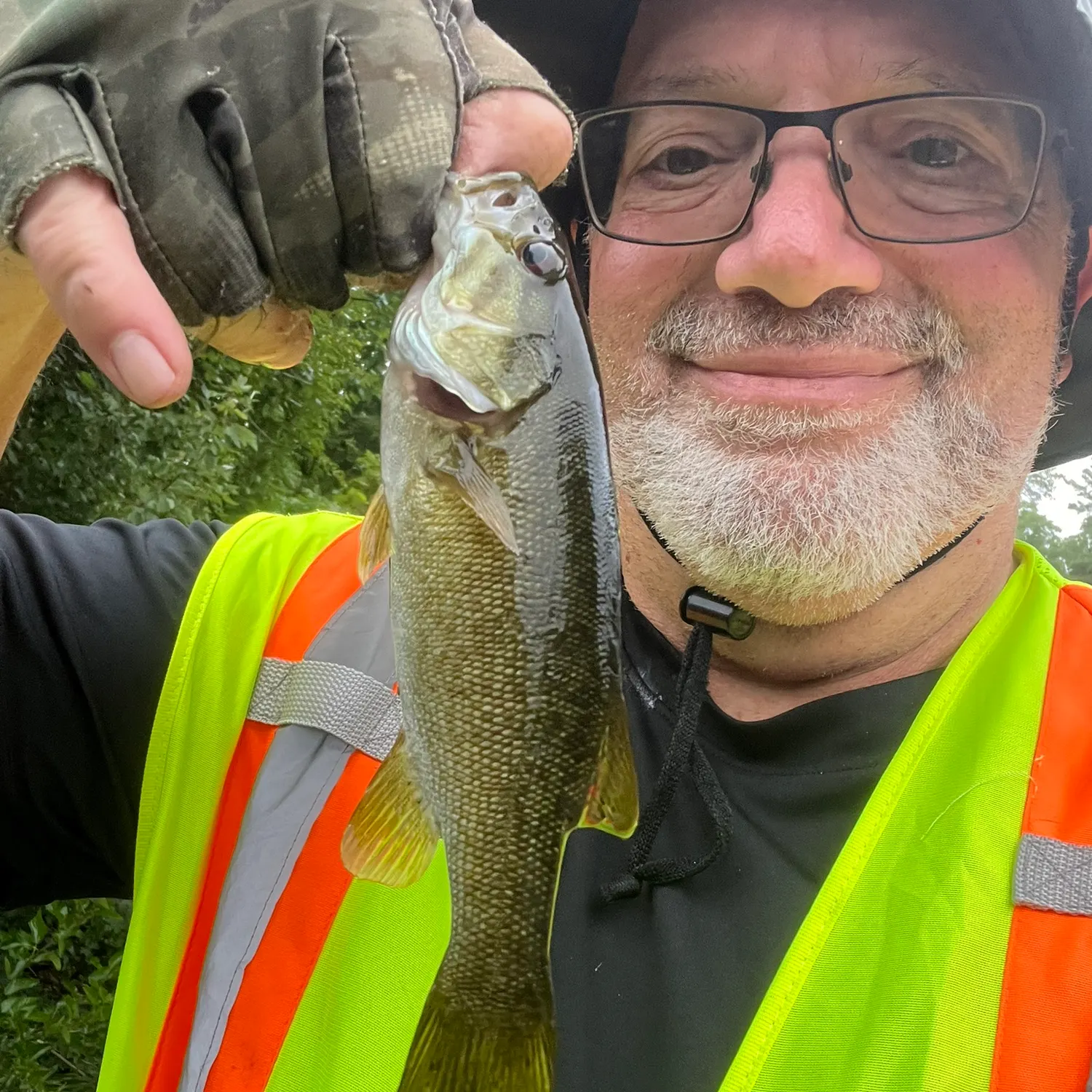 Smallmouth bass caught on Fishbrain