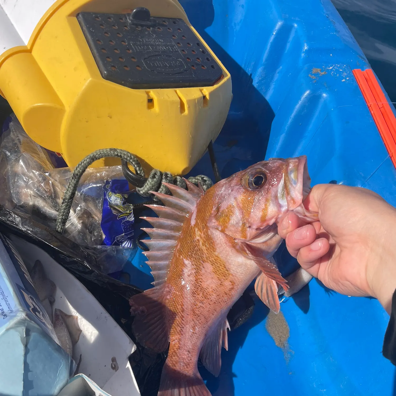 catch