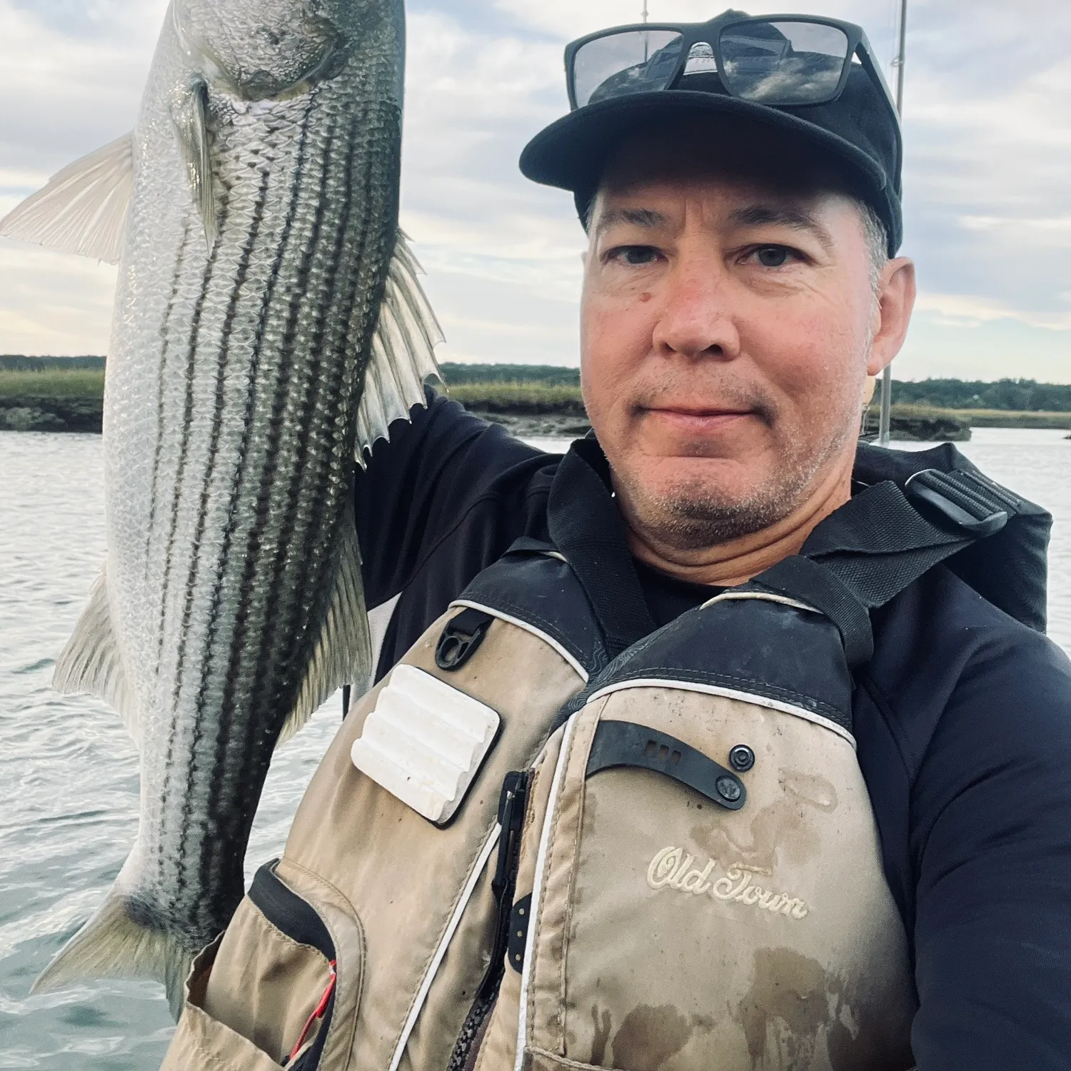 Striped bass caught on Fishbrain