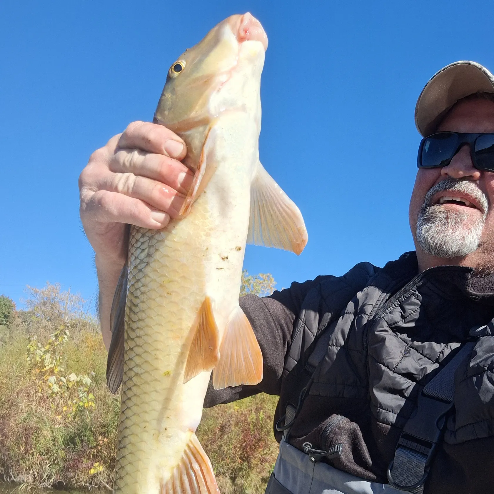The most recent Golden redhorse catches on Fishbrain