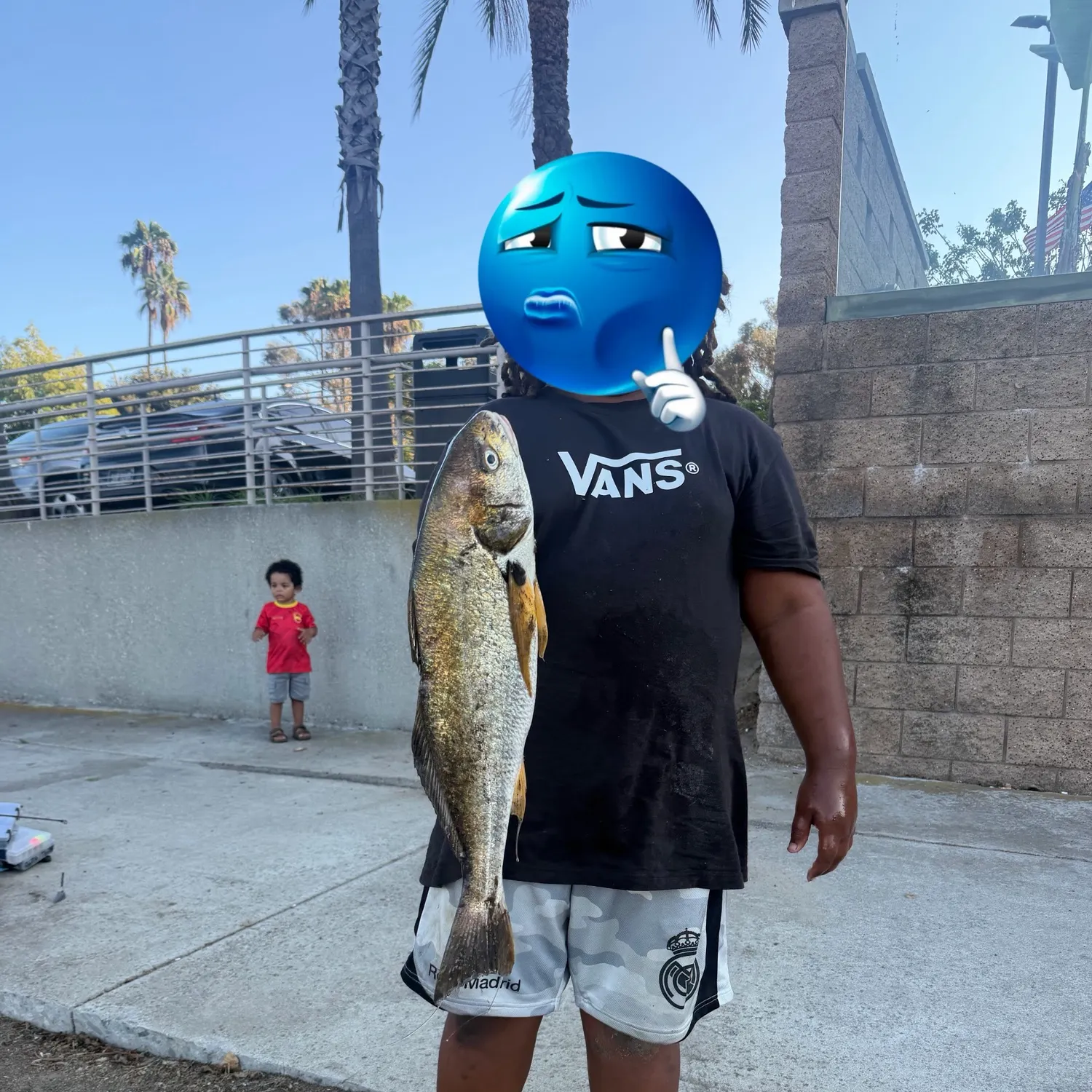 Whale shark caught on Fishbrain
