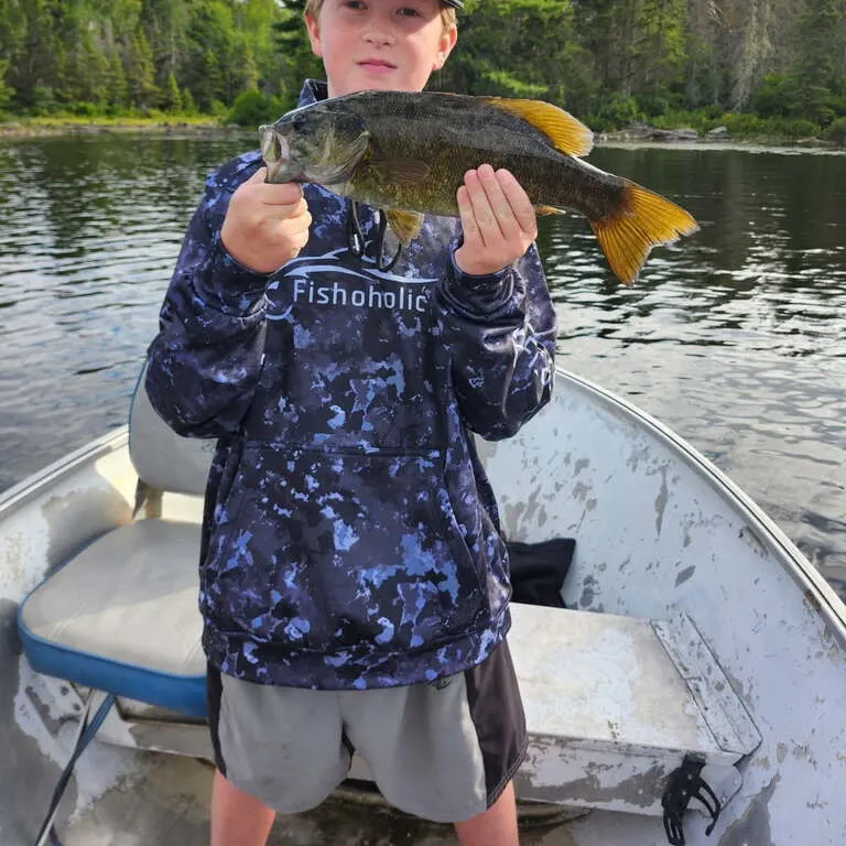Smallmouth bass caught on Fishbrain