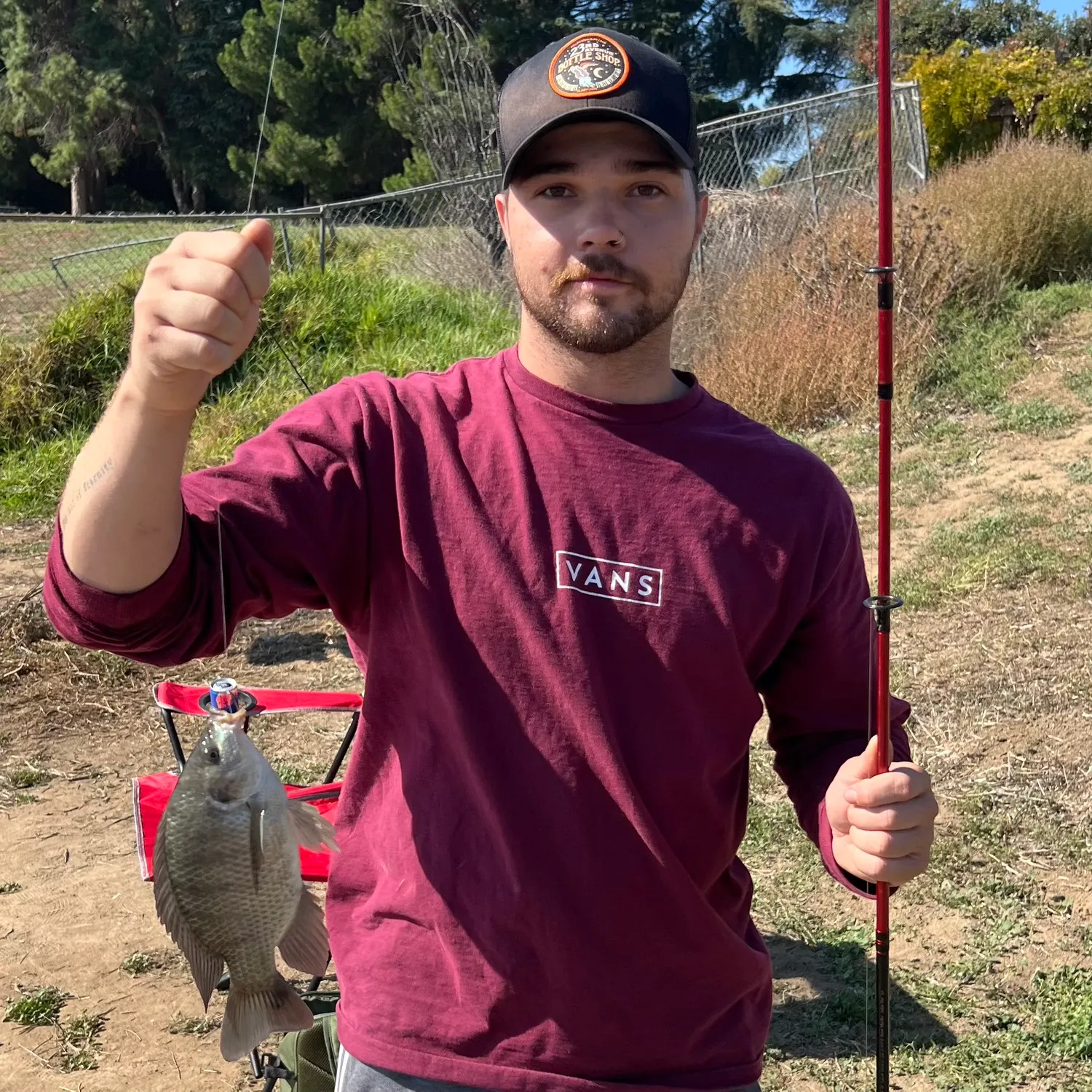 The most recent Mozambique tilapia catches on Fishbrain