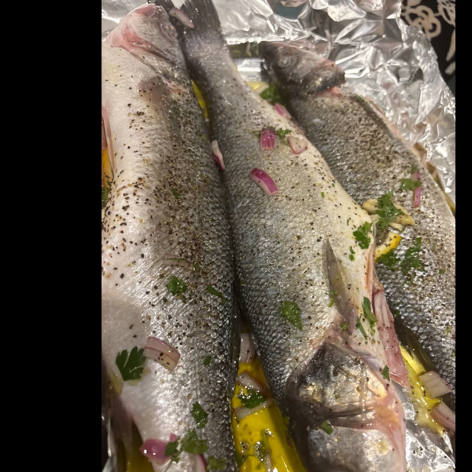 Fish caught on Fishbrain