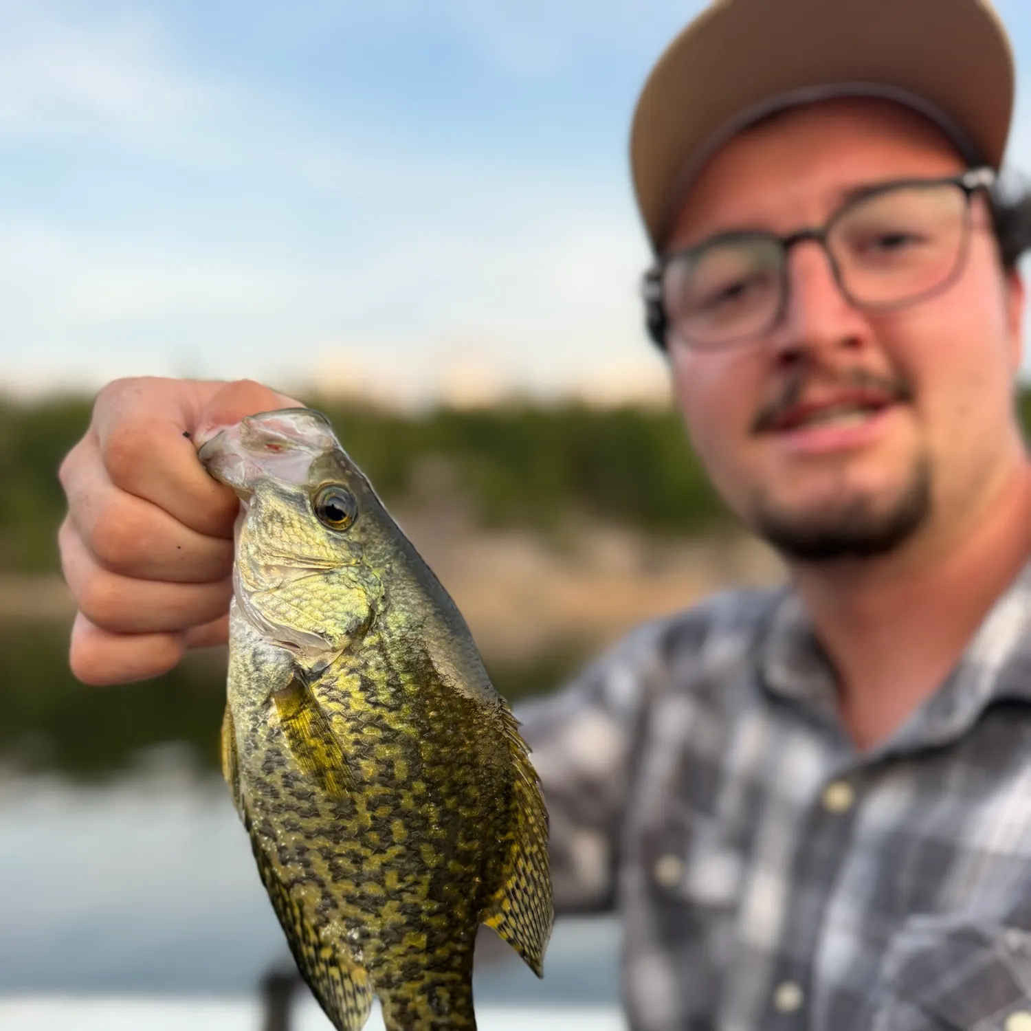 Black crappie caught on Fishbrain