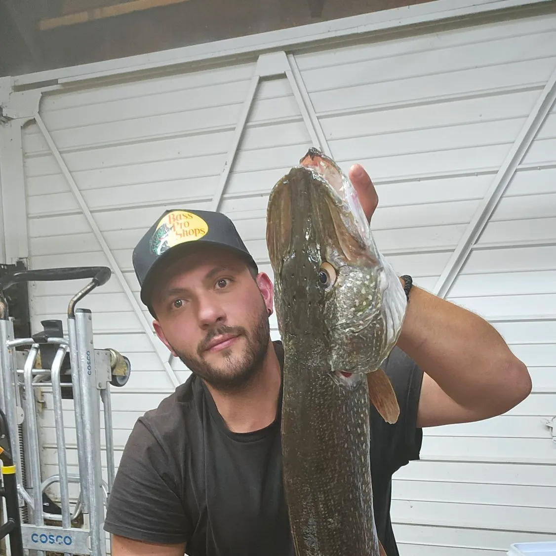Northern pike caught on Fishbrain
