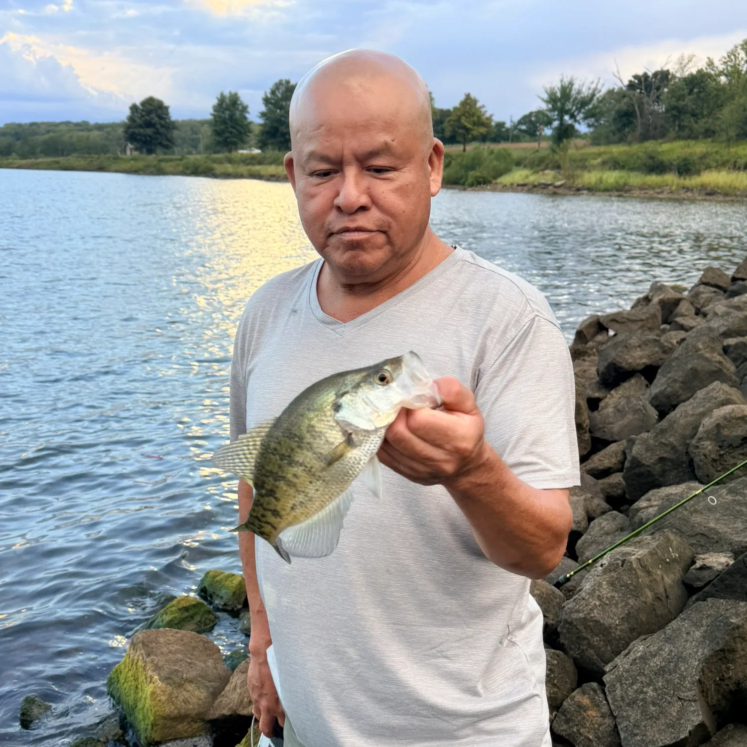 White crappie caught on Fishbrain