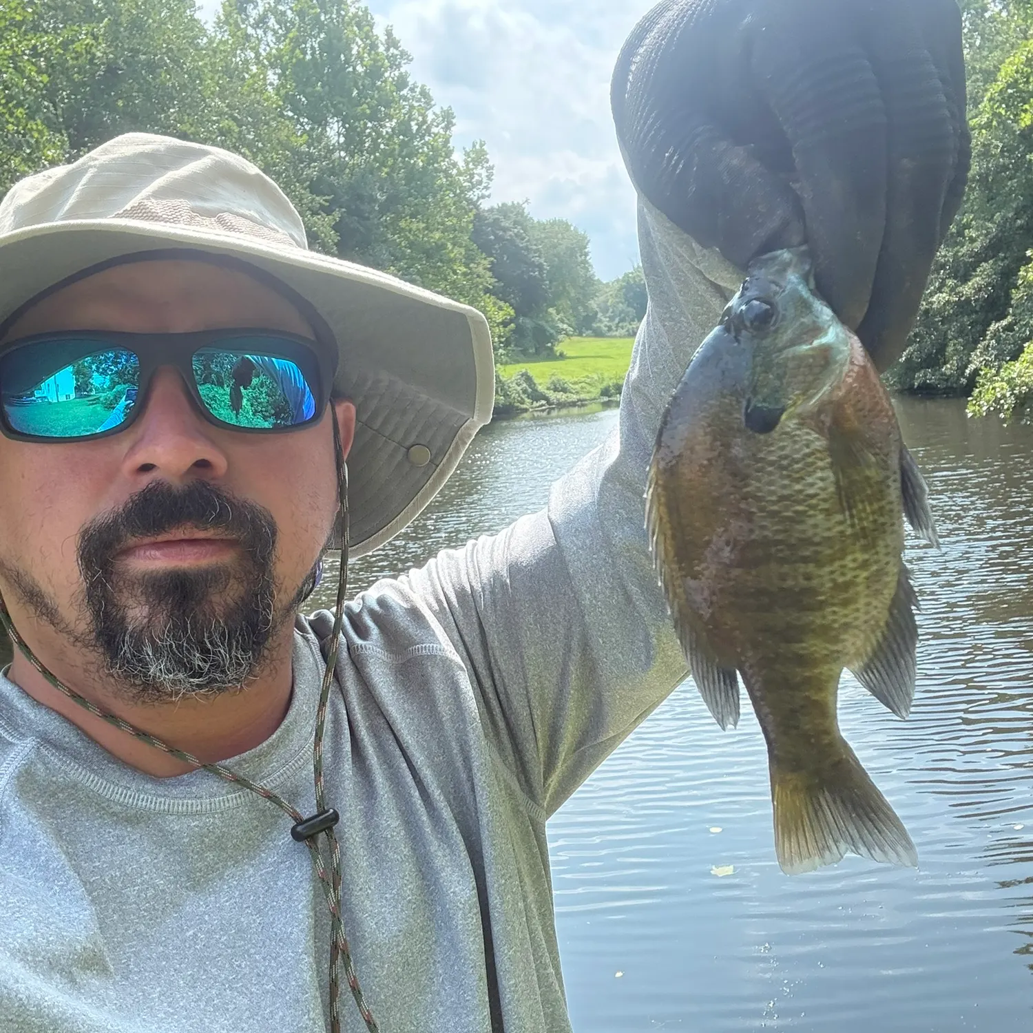 Bluegill caught on Fishbrain
