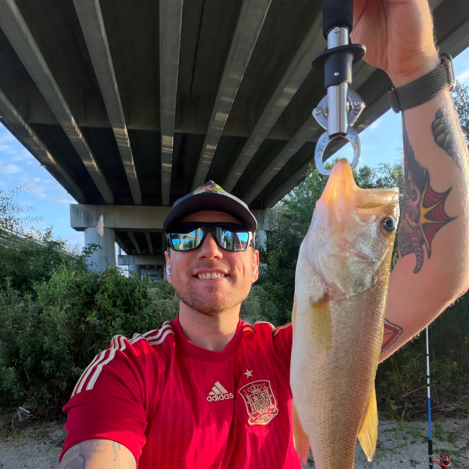 Largemouth bass caught on Fishbrain