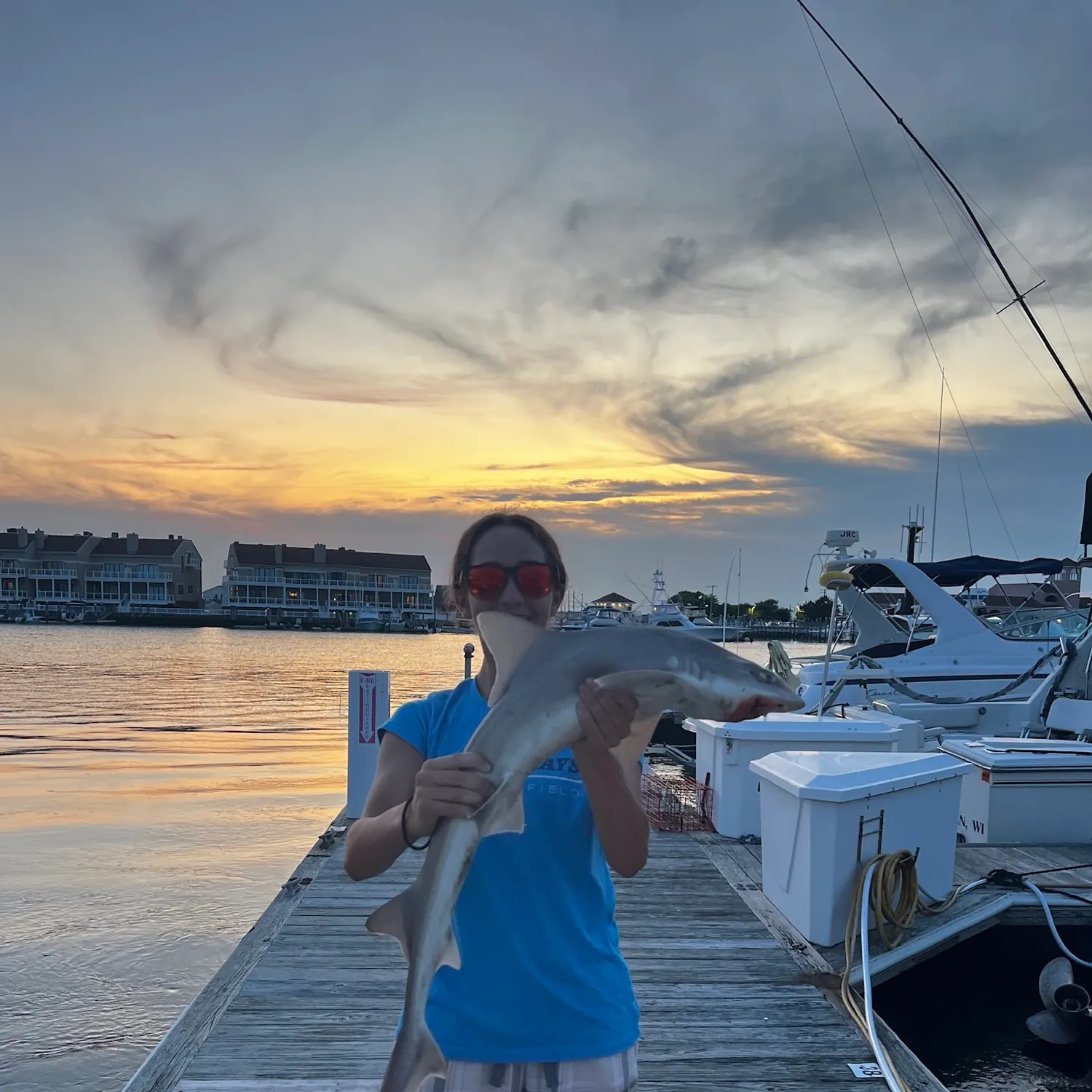The most recent Sand tiger shark catches on Fishbrain