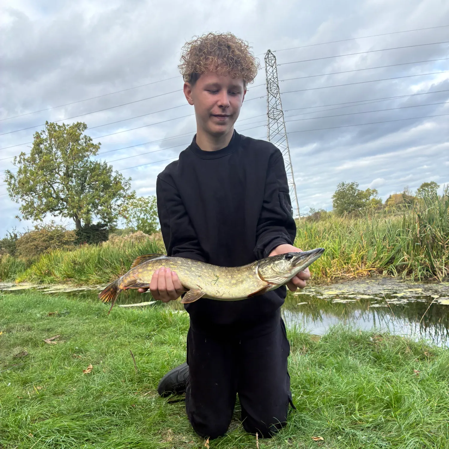 Northern pike caught on Fishbrain
