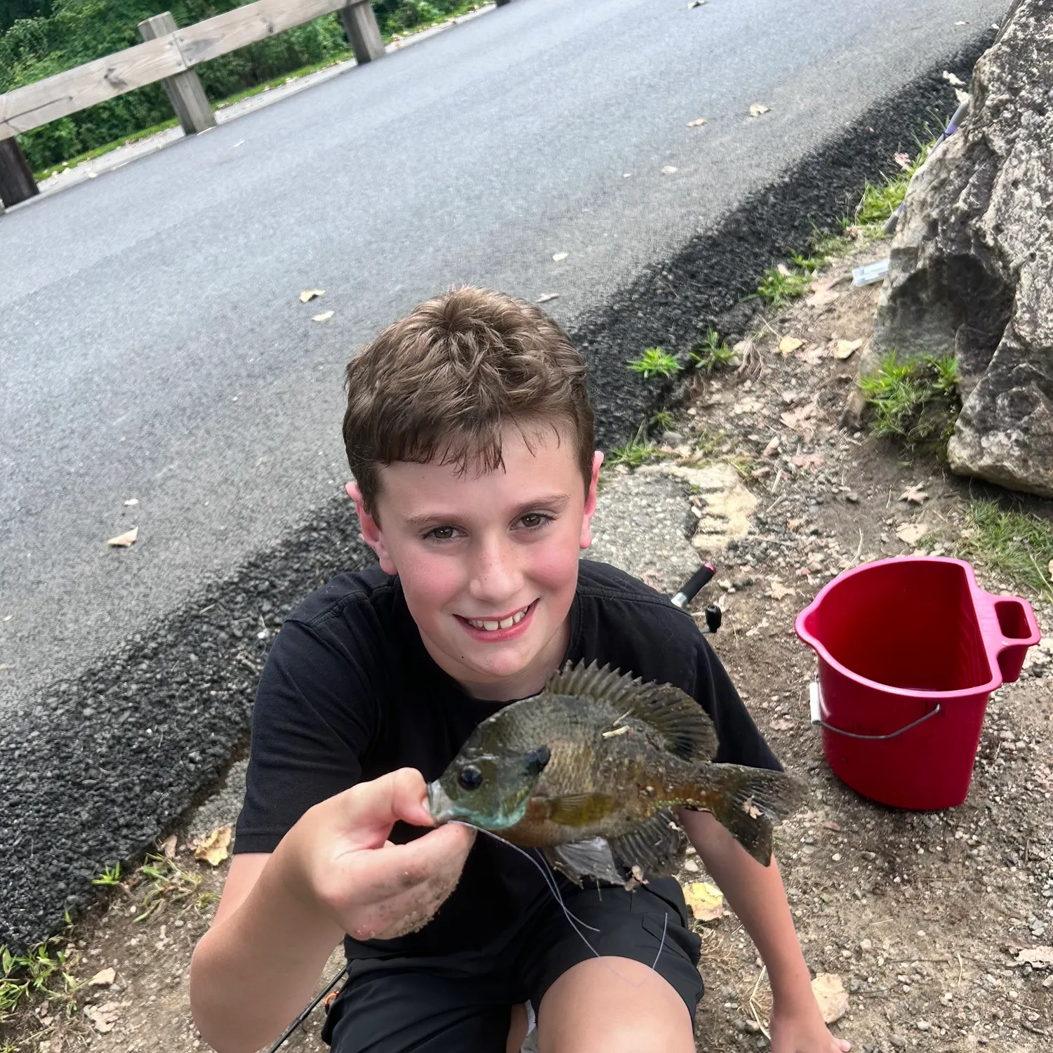 Bluegill caught on Fishbrain
