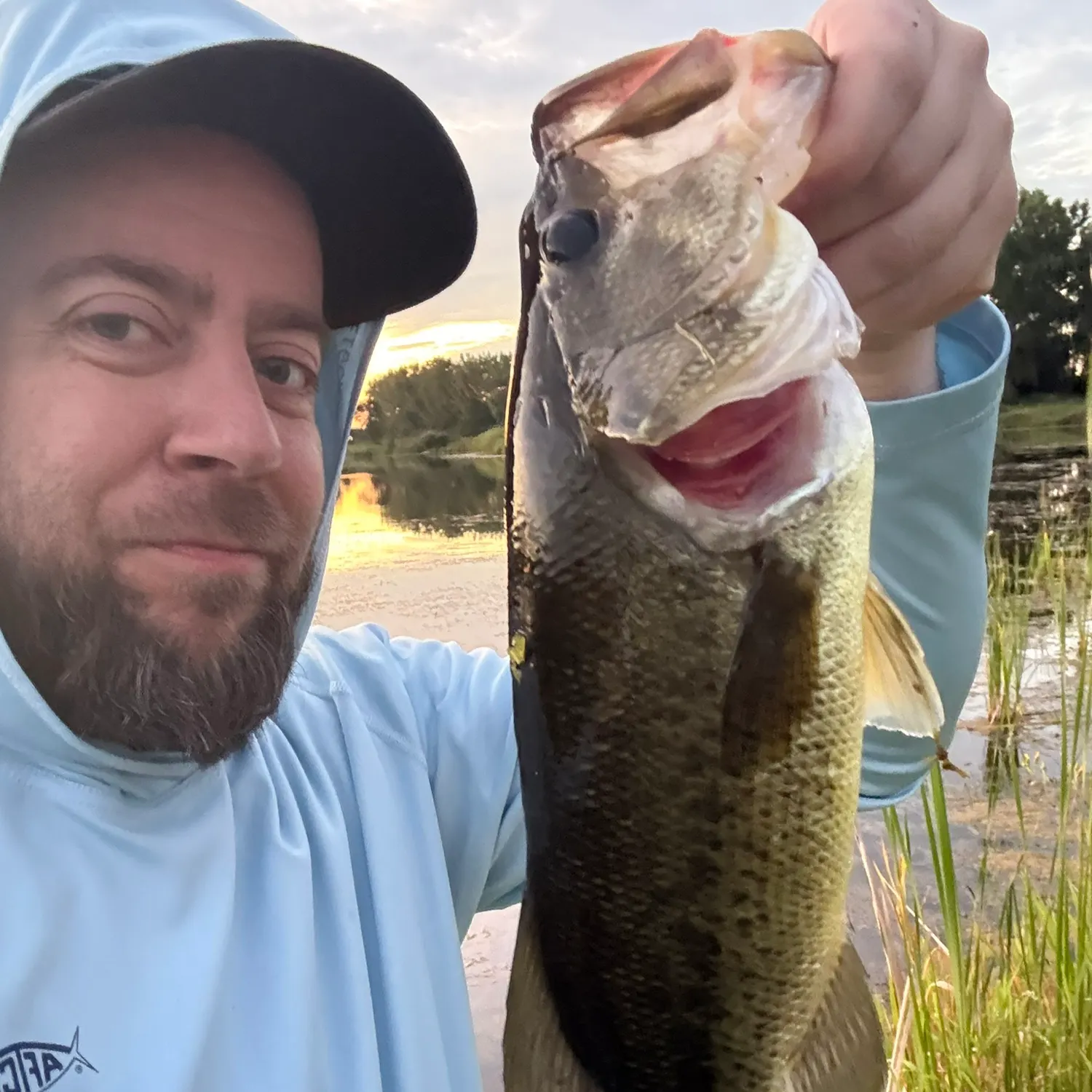 Largemouth bass caught on Fishbrain