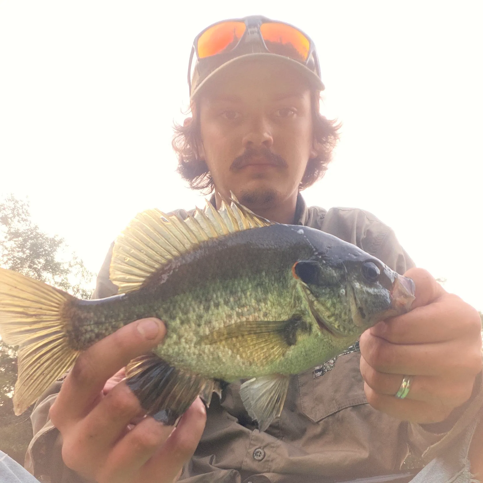 Redear sunfish caught on Fishbrain