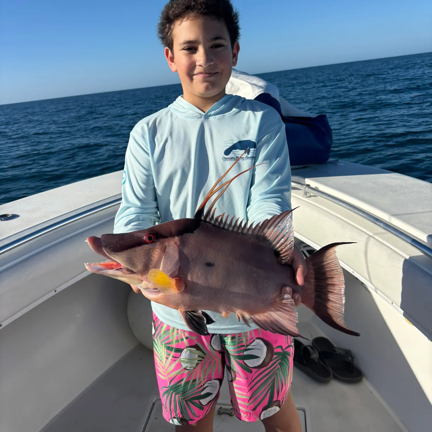 The most recent Hogfish catches on Fishbrain