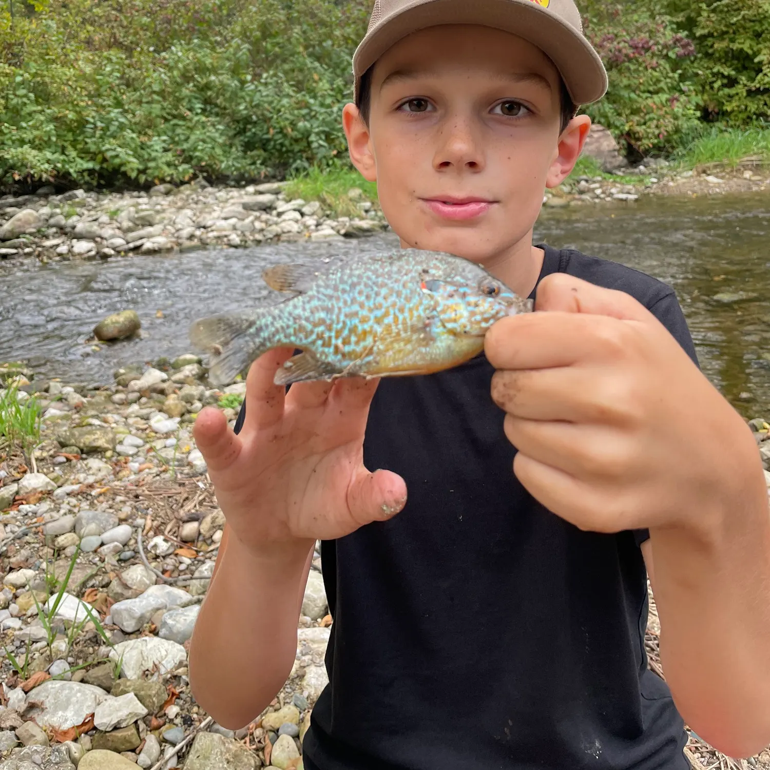 Redear sunfish caught on Fishbrain