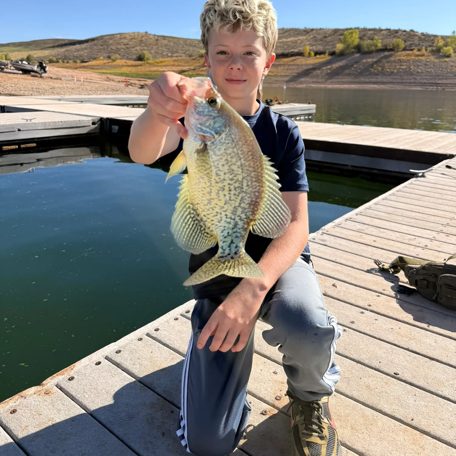Black crappie caught on Fishbrain