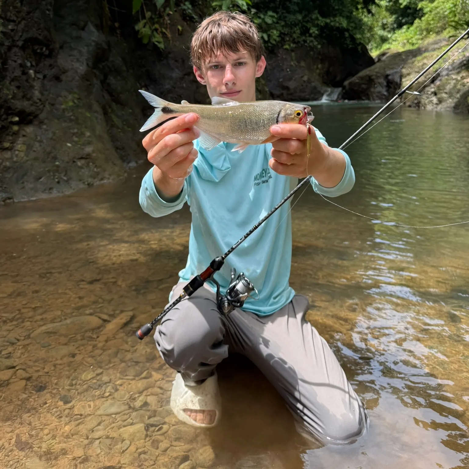 The most recent Brycon behreae catches on Fishbrain