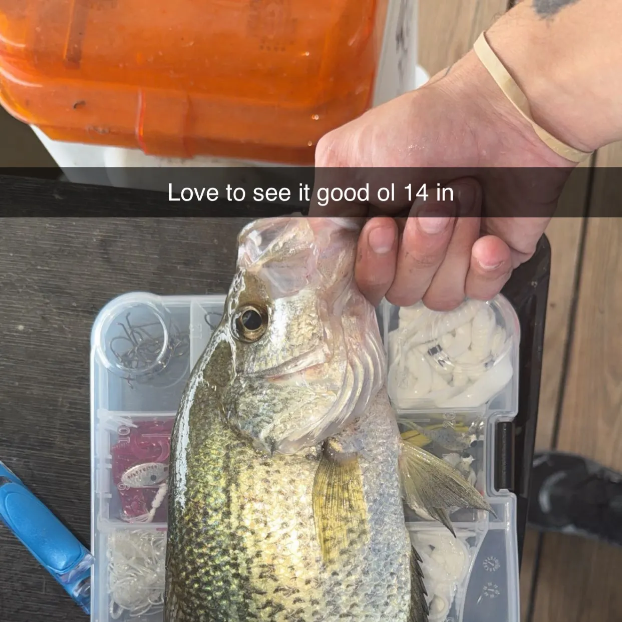 catch
