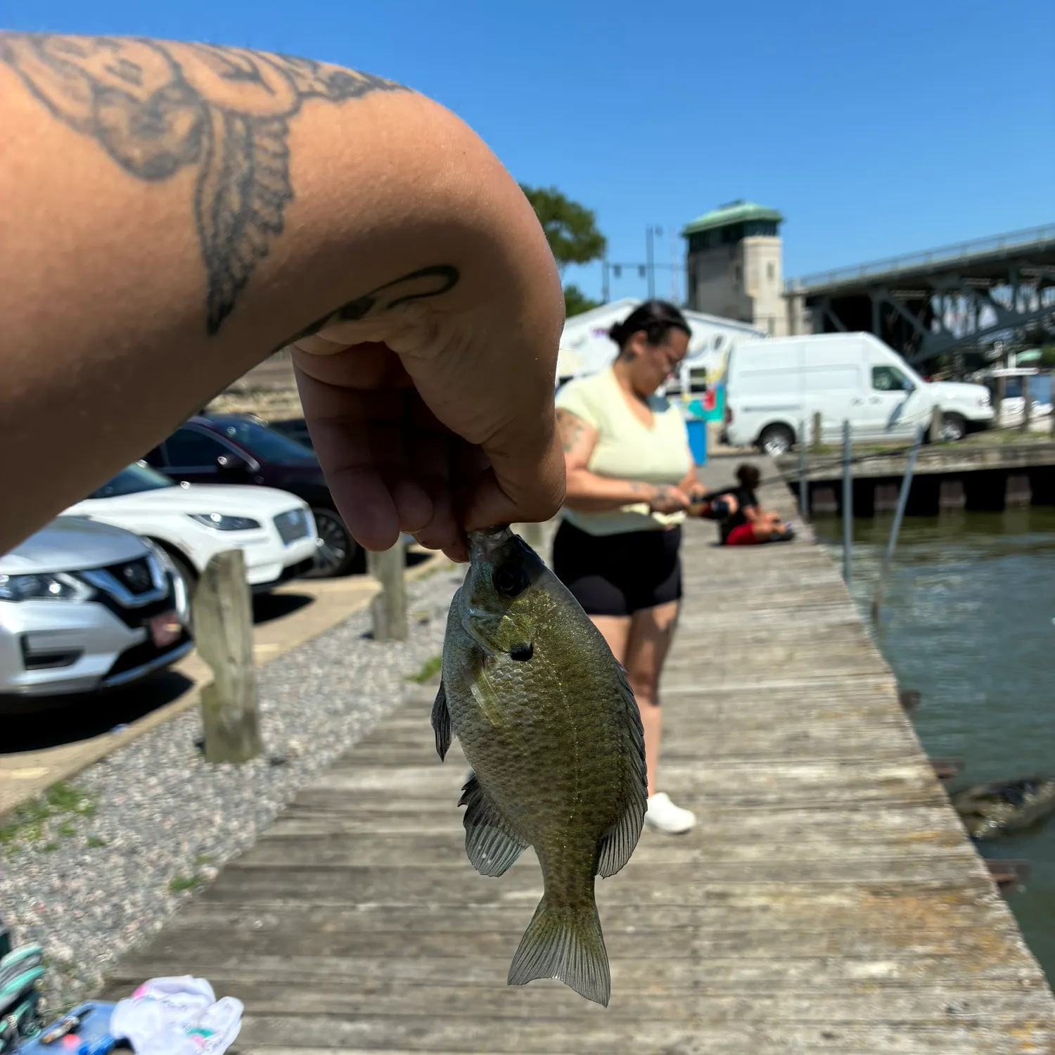 catch