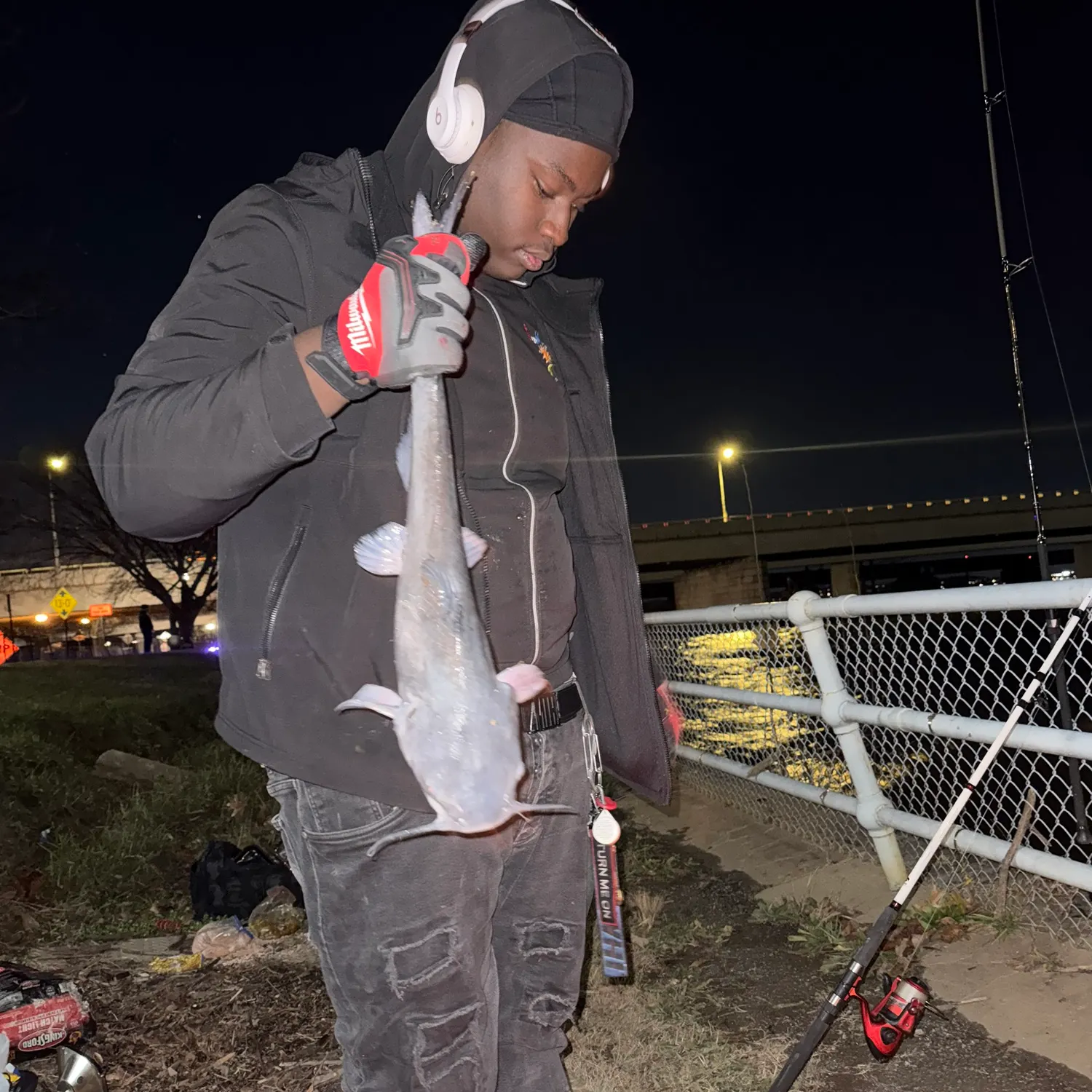 The most recent Blue catfish catches on Fishbrain