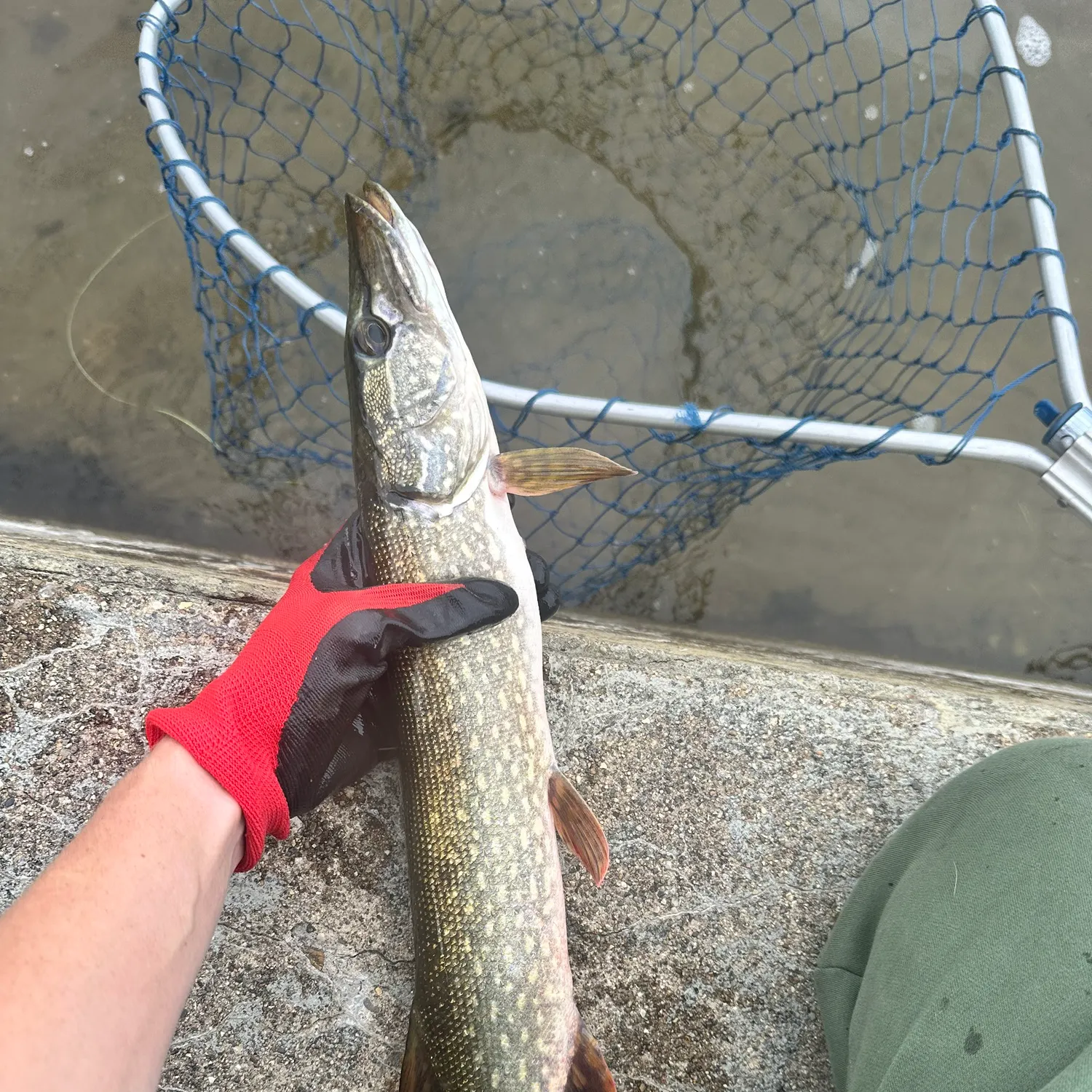 catch